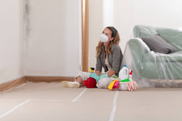 Reliable Commercial Mold Remediation contractor in Avondale, AZ by WQB Mold Removal